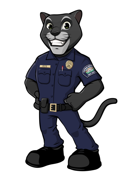 Psafe Pete